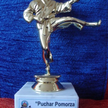 8a - Puchar Pomorza 17.11.2006 - II Miejsce w Kumite
